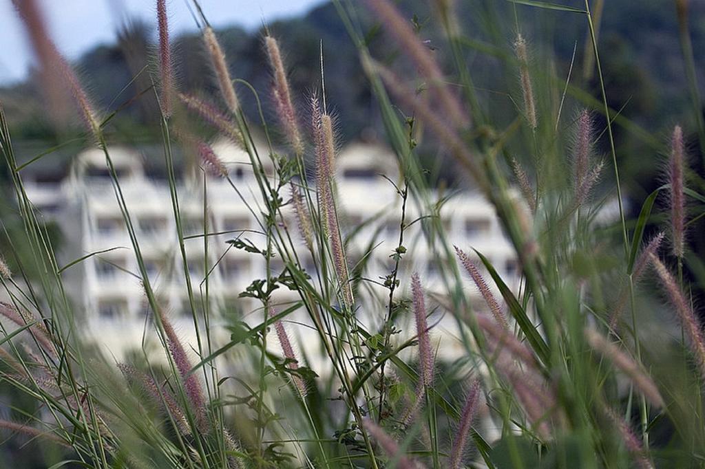 Eden Resort Karon Εξωτερικό φωτογραφία